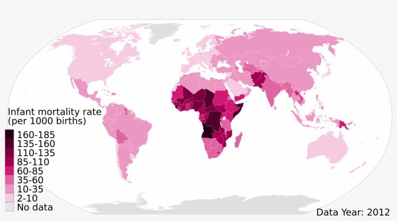 2012 Infant Mortality Rate Per 1000 Live Births, Under-5, - Infant Mortality Rate World, transparent png #1925192