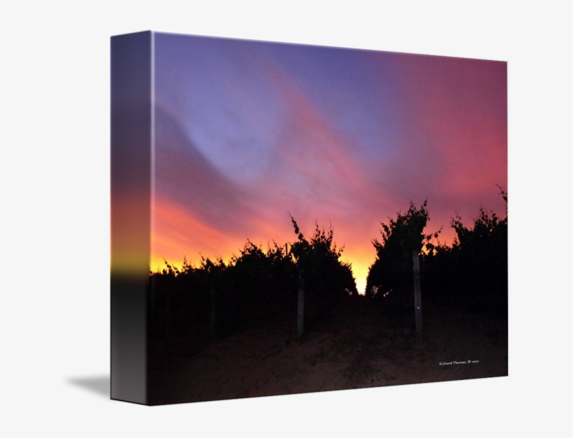 Sunset By Richard Thomas - Drawing, transparent png #1925276