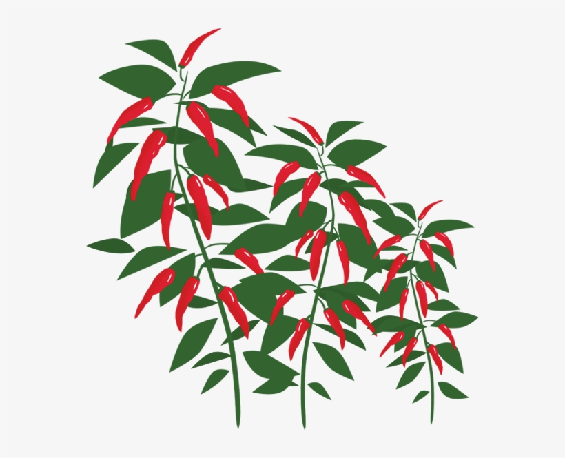 Image Is Not Available - Chilli Peppers Tree Png, transparent png #1925360