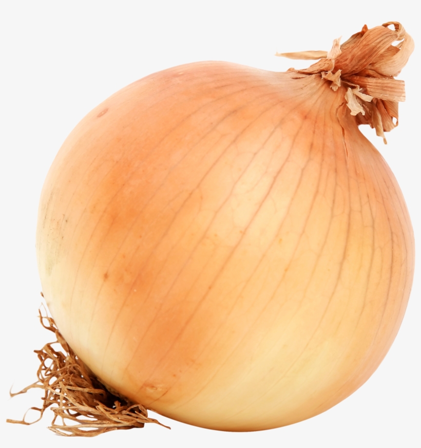 Jpg Brown Onion Png Image - Png Image Of Onion, transparent png #1925741