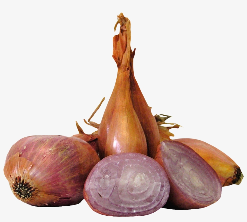 Free Png Shallot Onions Png Images Transparent - Shallot Png, transparent png #1925864