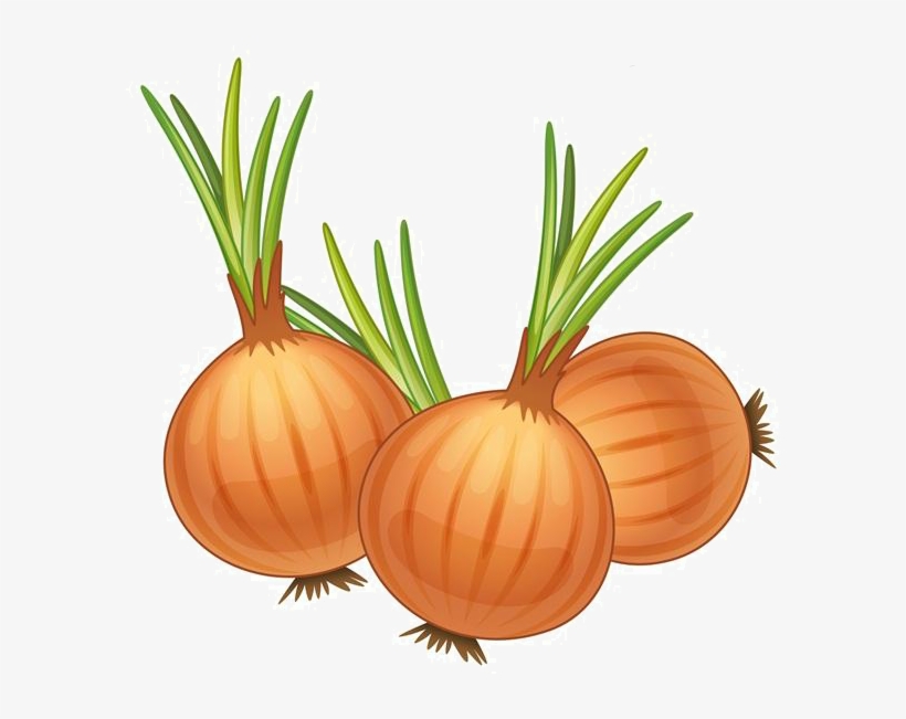 French Yellow Royalty Free Clip Art Cartoon - Cartoon Image Of Onion, transparent png #1925931