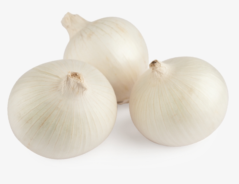 White Onion - Cebolla Blanca Png, transparent png #1926160