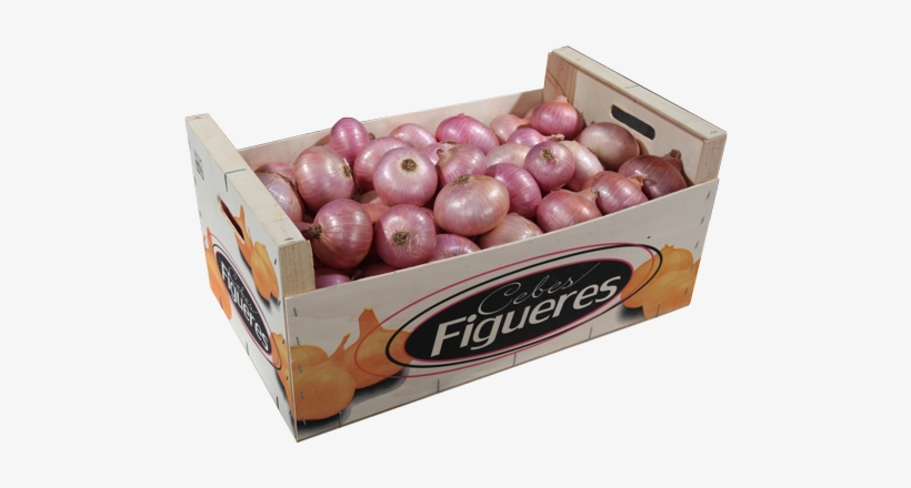 Consuay Figueres Onion Box - Onion In Box, transparent png #1926602