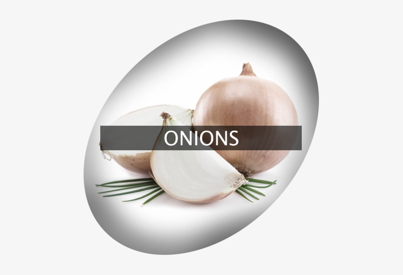 Landingimage Igrow Onions - Onion, transparent png #1926638