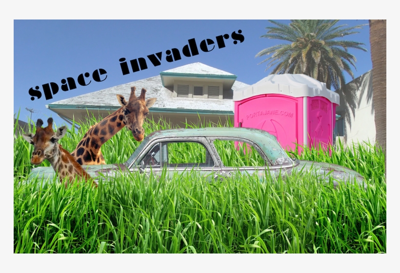 Down Here Betwixt The Golfo De México And The Atlantic - Final Expense Lessons: Don't Let The Green Grass Fool, transparent png #1926745