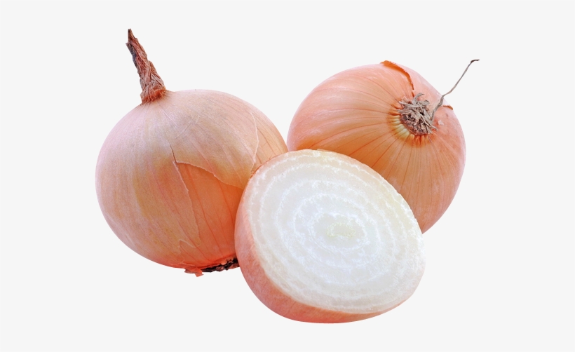Jpg Free Stock Buy Vegetable Purees Fruit Onions - Onions Without Background, transparent png #1926811