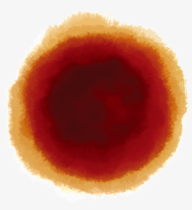 Macro Photography, transparent png #1928066