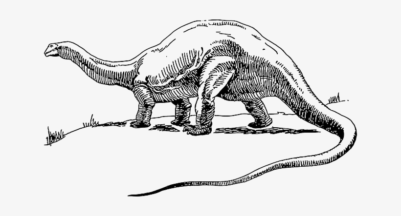Dead, Drawing, Dinosaur, Long, Neck, Tail, Creature - Clipart Dinosaur Black And White, transparent png #1928599
