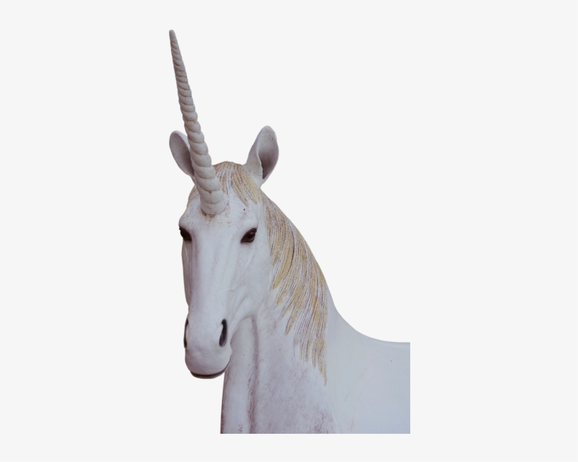 Png,unicorn,animal Magic,fantasy - Unicorn Png, transparent png #1928636