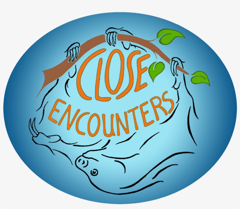 A4fd3572 D6aa 4447 Ab84 4e4f313d8b1c - Portable Network Graphics, transparent png #1928659