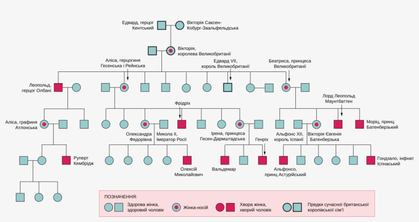 Open - Haemophilia Queen Victoria Family Tree, transparent png #1929454