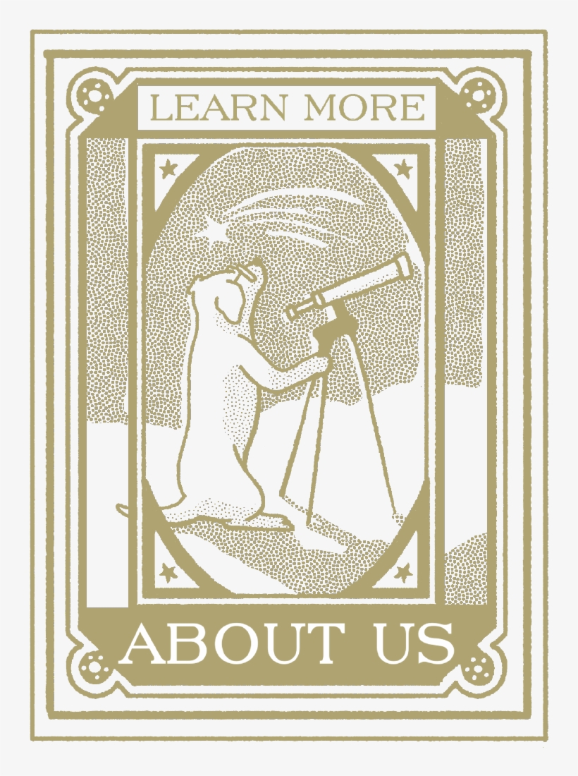 Have Questions See Our Faqs → - Illustration, transparent png #1930365