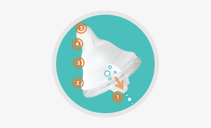 Nipple-features - Portable Network Graphics, transparent png #1932282