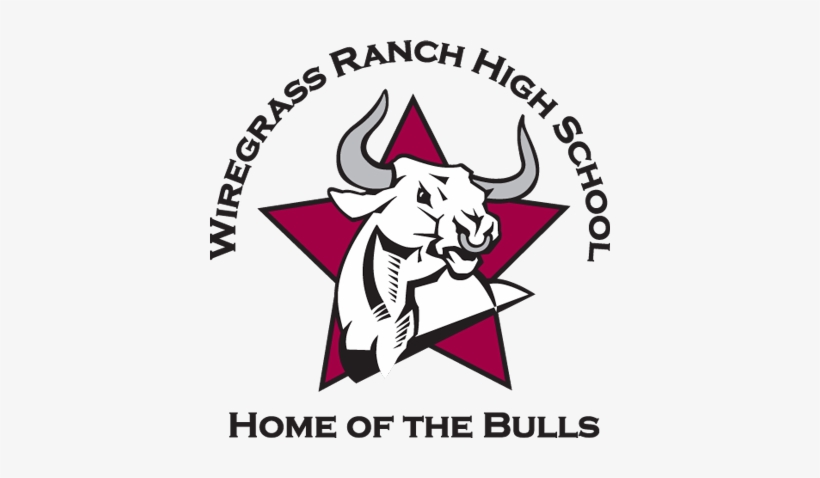 Wiregrass Ranch High School - Wiregrass Ranch High School Mascot, transparent png #1932355
