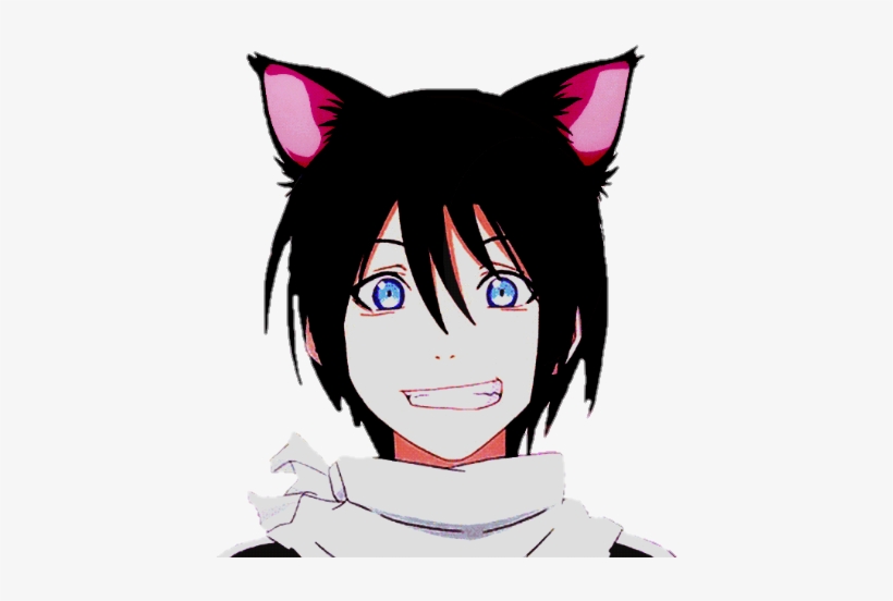 Yato Noragami Noragamiaragoto Anime Neko - Yato Noragami, transparent png #1933827