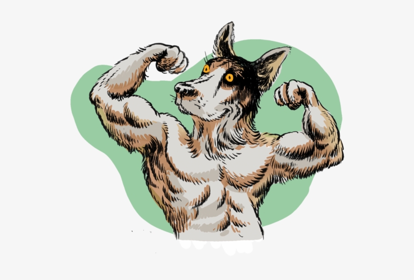 Realfakecrispr11 - Portable Network Graphics, transparent png #1934629