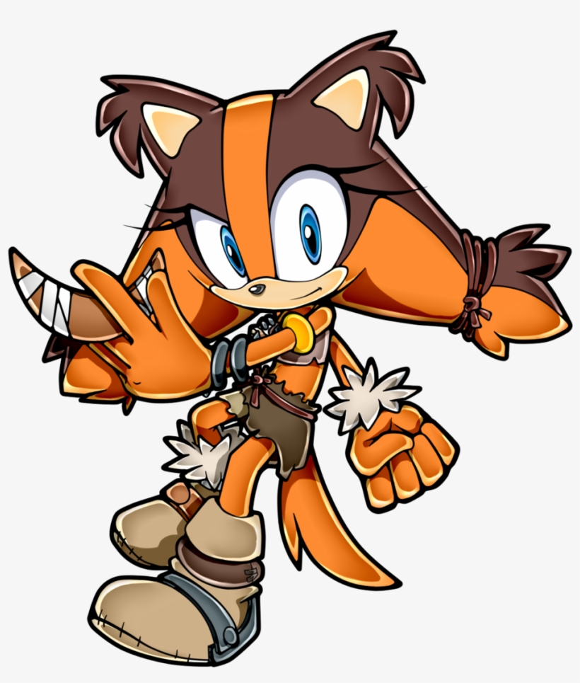 Sonic Boom 2014 Tv Series Images Sticks The Badger - Sticks The Badger Sonic X, transparent png #1934656