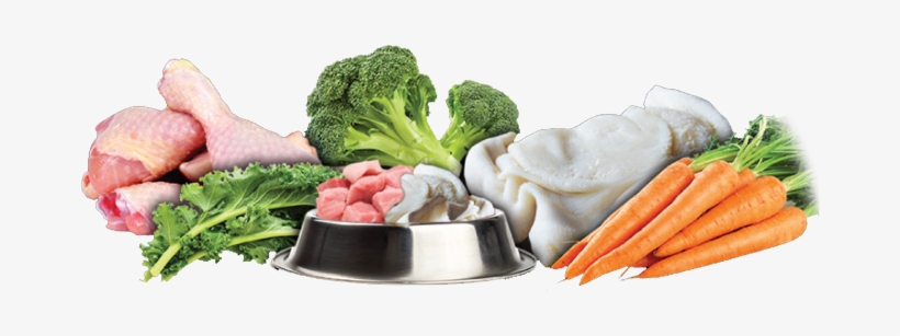 Raw Feeding, transparent png #1935154