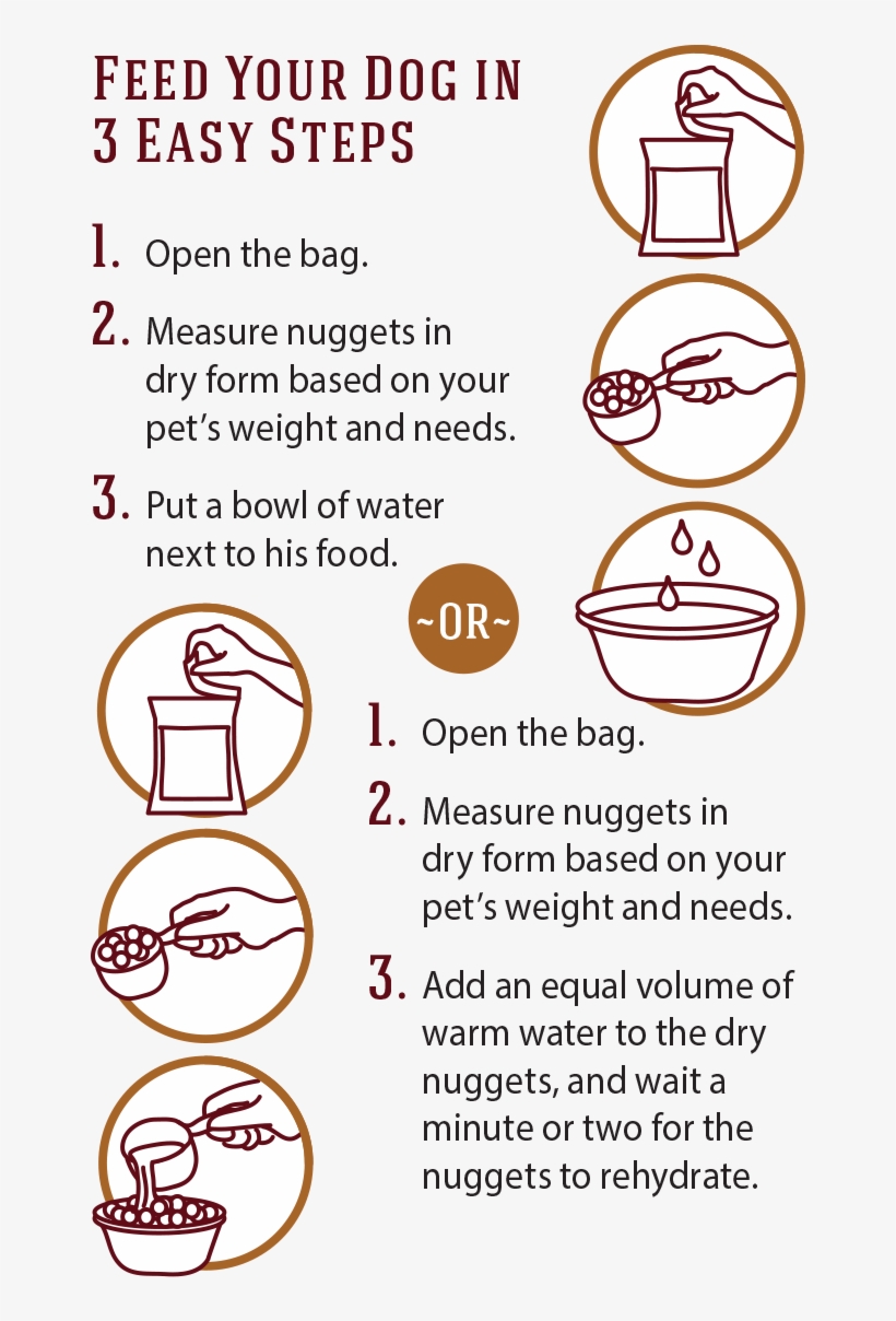 Image Description - Circle, transparent png #1935357