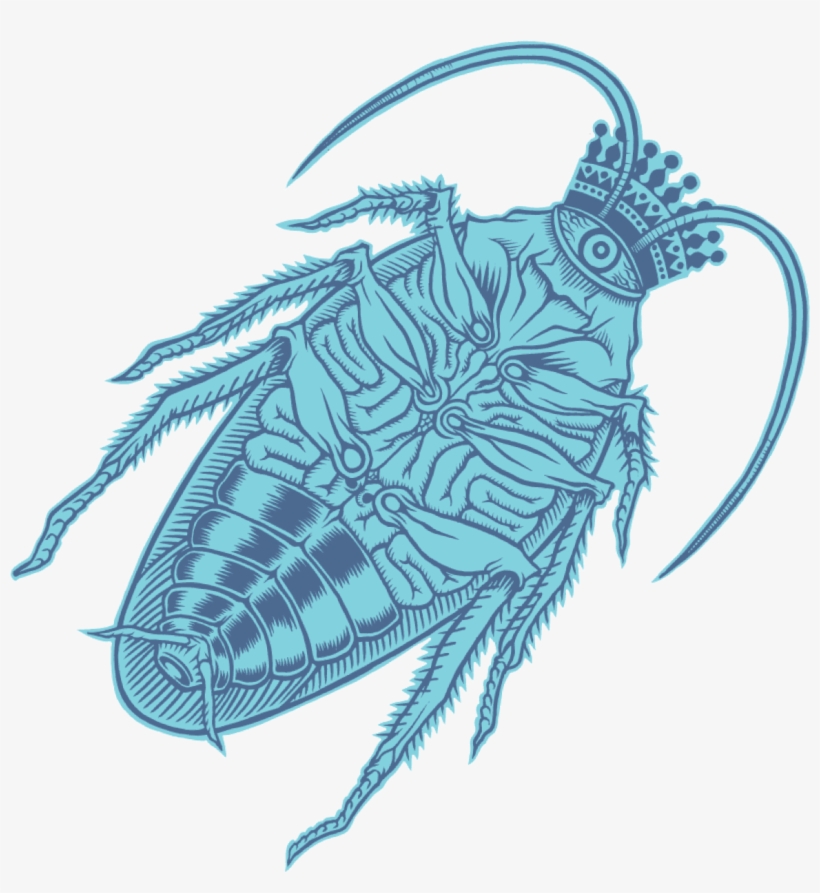 Cockroach, transparent png #1936492