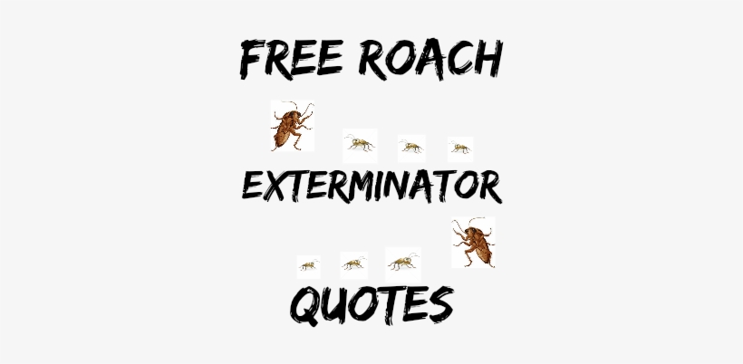 What Is The Best Cockroach Repellent - Quotes From My Kid By Om Yasmeen 9781537434193 (paperback), transparent png #1936641