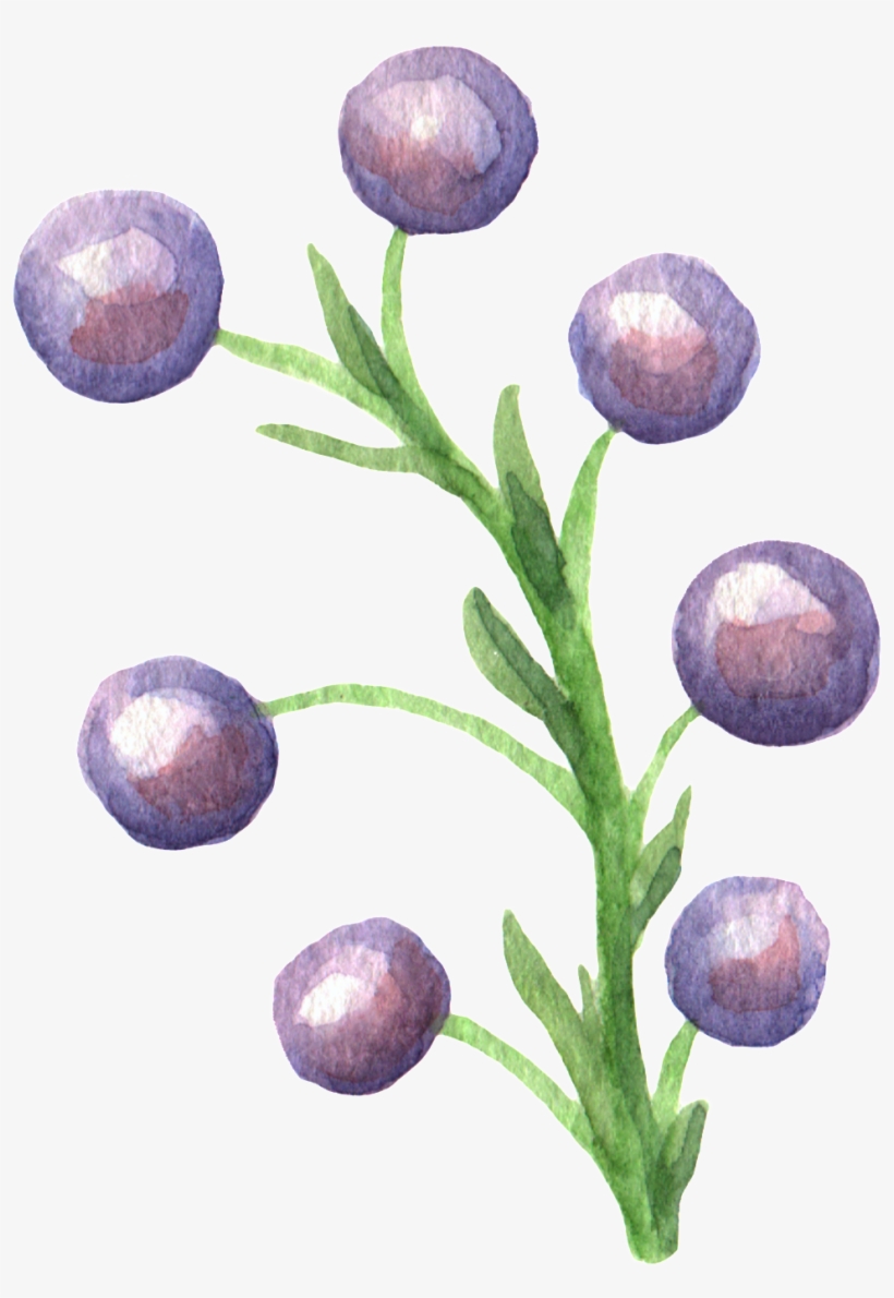 Crystal Leaf Transparent Decorative - Watercolor Painting, transparent png #1938318