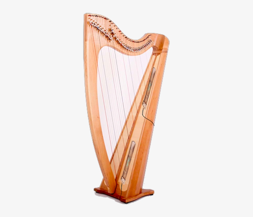 Home About Us Instruments Products Contact - Golden Peakock Overseas Limited, transparent png #1938835