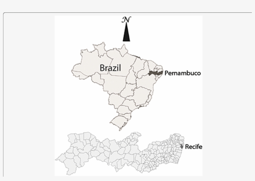 Location Of The Capital City Of Recife, Pernambuco - Recife, transparent png #1940225
