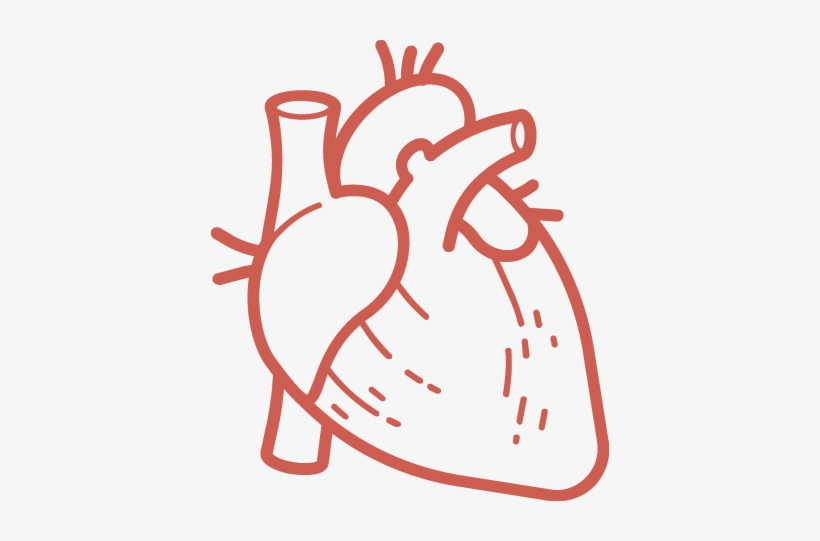 O3, Pm - Organ, transparent png #1943478