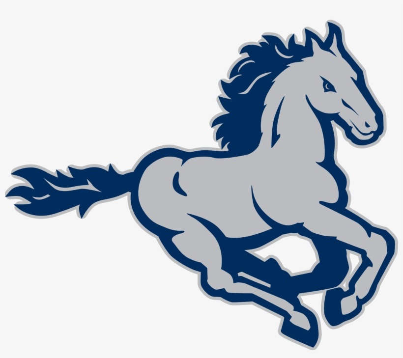 Murchisonmustang Png Stallions Mustangs - Murchison Elementary School, transparent png #1943679