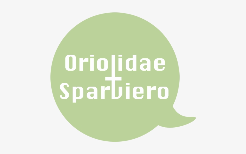 Oriolidae And Sparviero Scanlations - Habilidades Para La Vida, transparent png #1944509