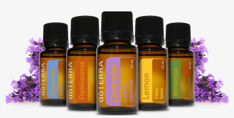 Doterra Lavender Png - Doterra Oils, transparent png #1944937