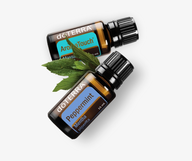 Dōterra Oils Doterra Cypress Essential Oil 15 Ml Free Transparent