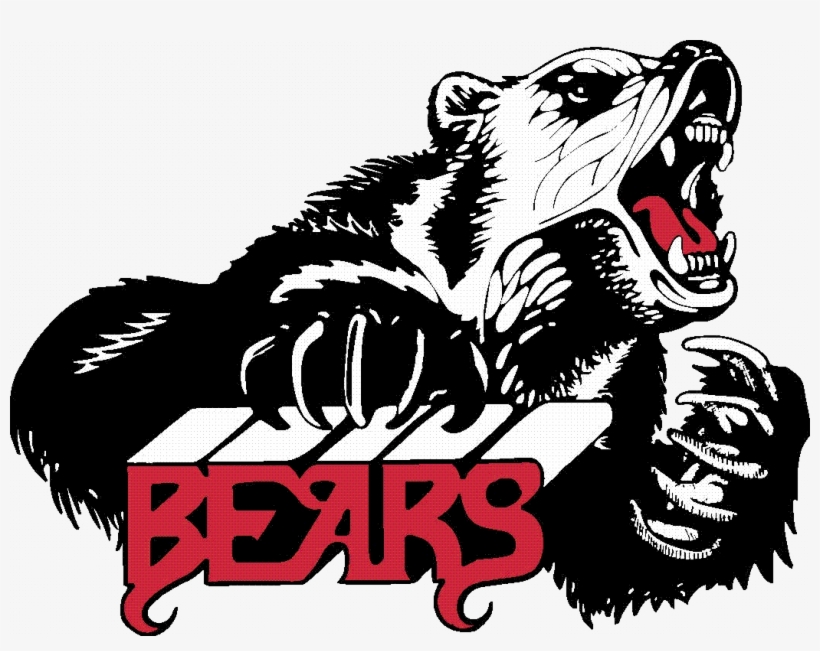 Delhi Bears - Juneau Douglas High School, transparent png #1945900