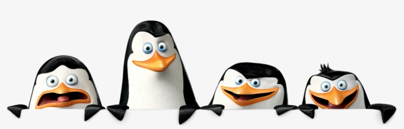 Madagascar Penguins Png - Madagascar Png, transparent png #1946476
