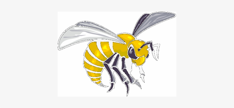 Alabama,state,hornets - Alabama State Hornets Logo, transparent png #1947654