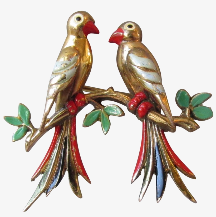 Macaw, transparent png #1949075
