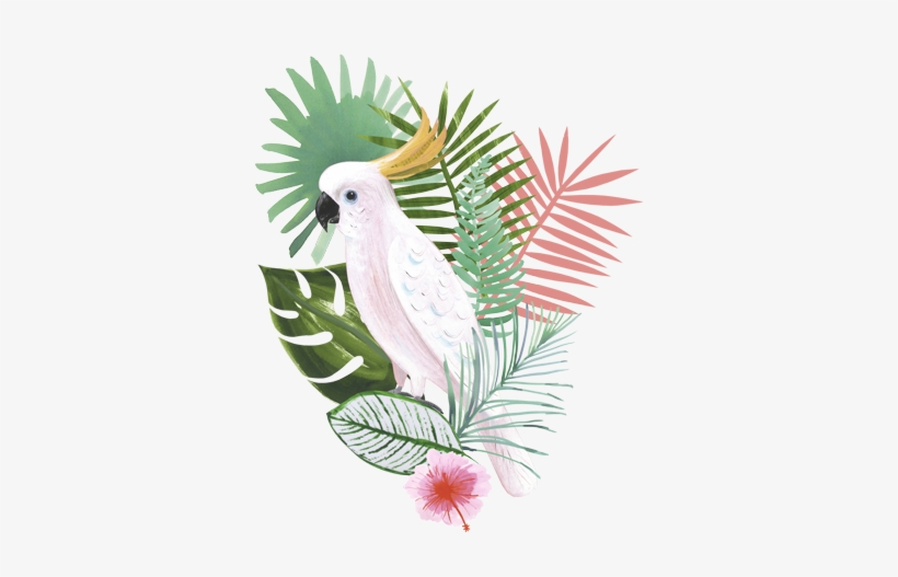 Brief Two Going Gifted By Hallmark - Tropical Image Transparent, transparent png #1949240