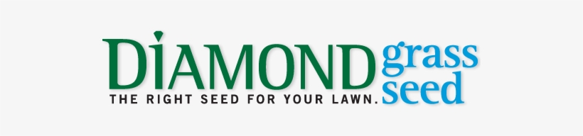 Diamond Brand - Graphic Design, transparent png #1951242