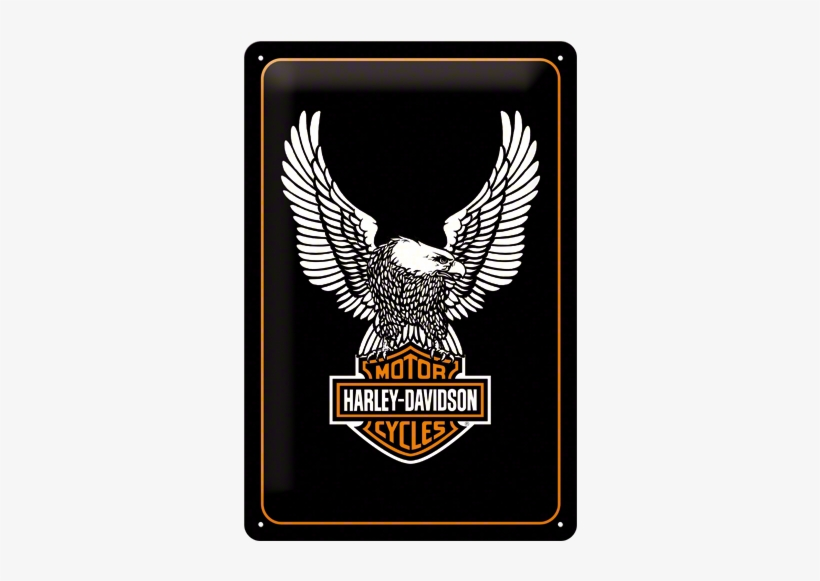 Posters And Signs - Harley Davidson Eagle Logos, transparent png #1951634