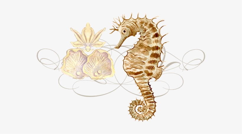 Click And Drag To Re-position The Image, If Desired - Counterart Absorbent Stoneware Car Coaster, Coastal, transparent png #1952553