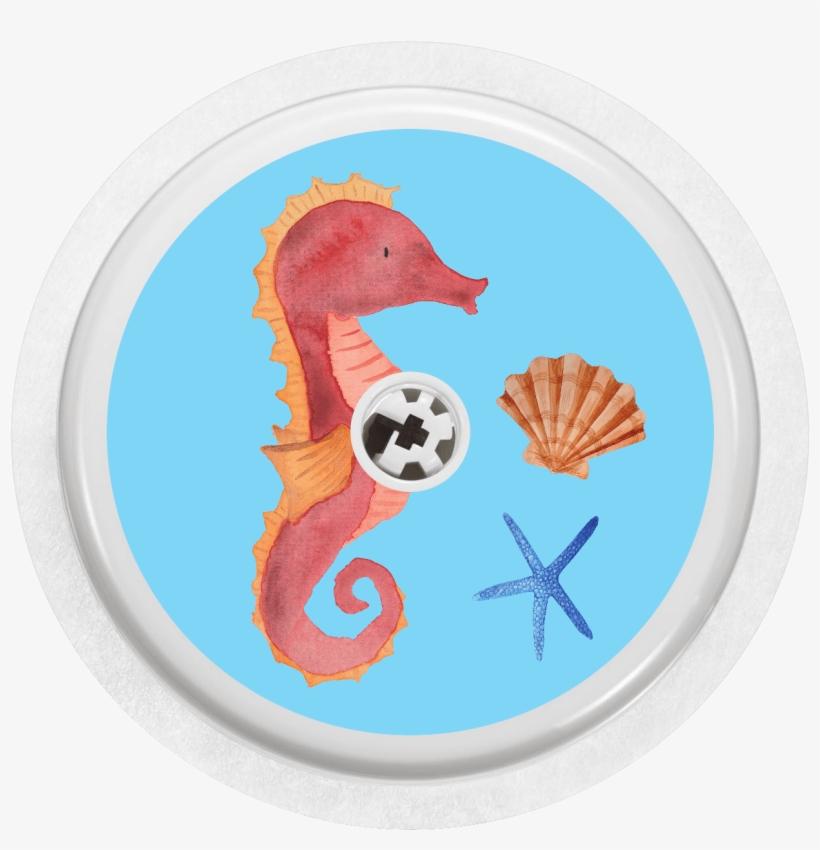 Image Of Seahorse - 48 Pack Sea Collection Blank Greeting Cards - 6 Assorted, transparent png #1952763