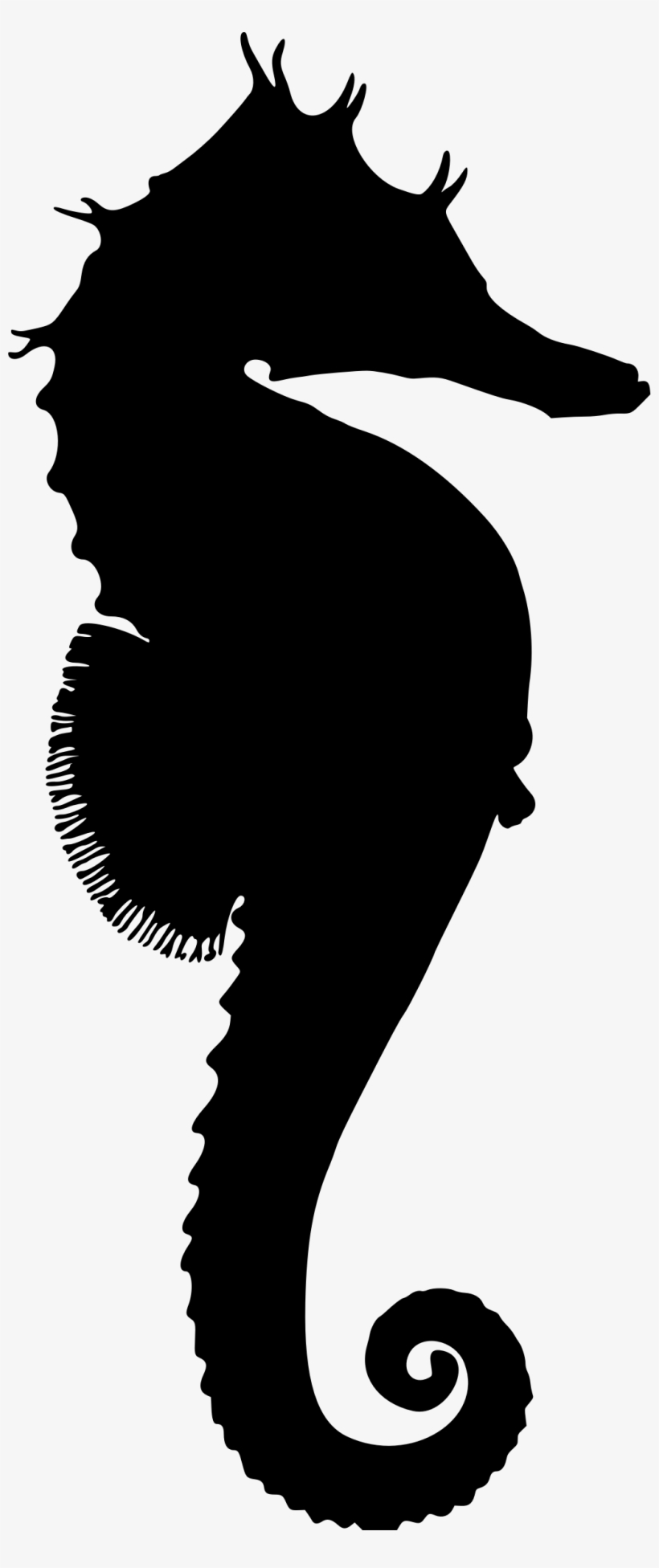 Silhouette Sea Horse, transparent png #1952831