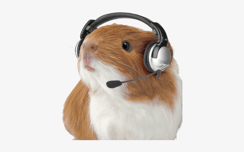 Hamster-png - Guinea Pig With Headset, transparent png #1952915