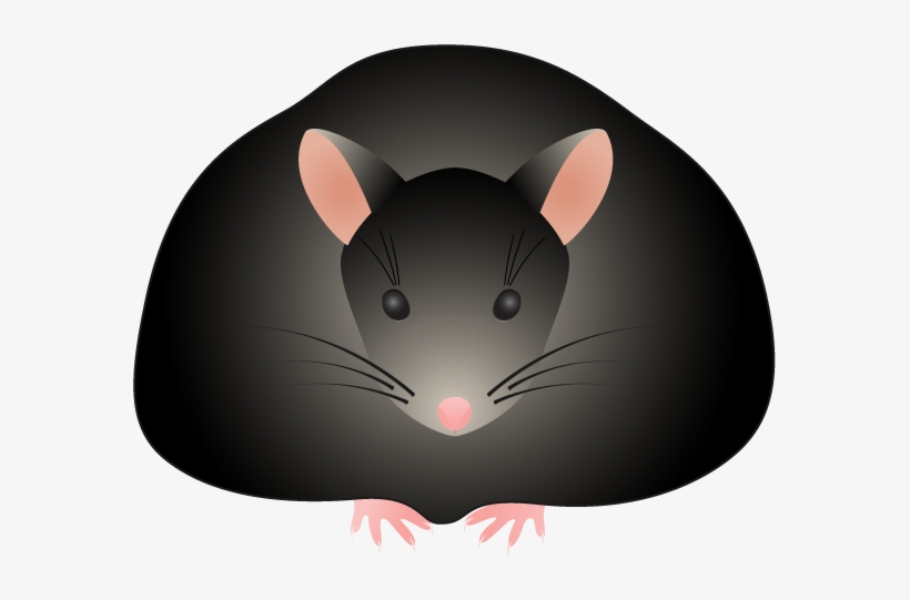 Clip Art Media Lab Biochemistry Uw Madison - Fat Mouse Cartoon, transparent png #1953227