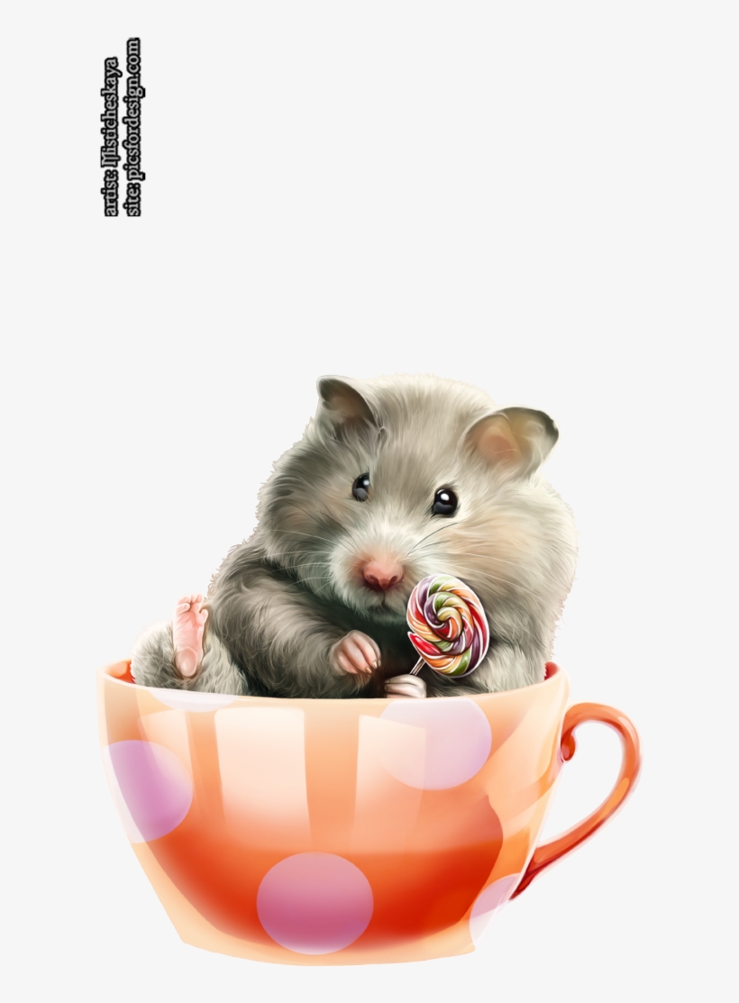 Hamster 50 - Portable Network Graphics, transparent png #1953229