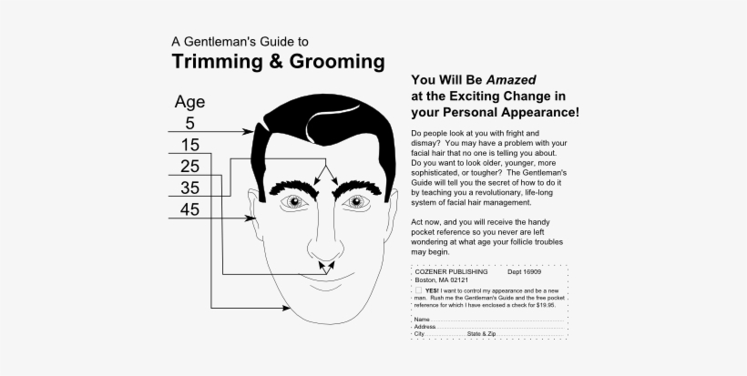 The Gentleman's Guide To Trimming & Grooming - Dog Grooming, transparent png #1953275