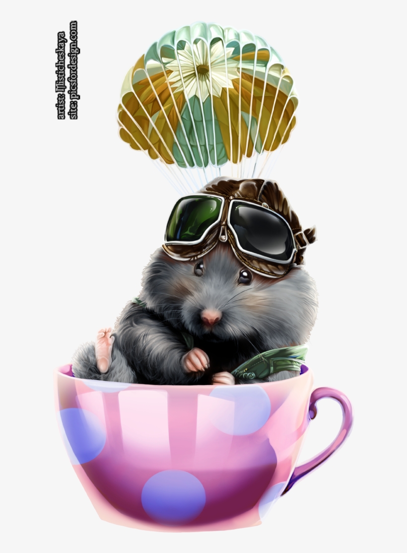 Hamster-1 - Portable Network Graphics, transparent png #1953569