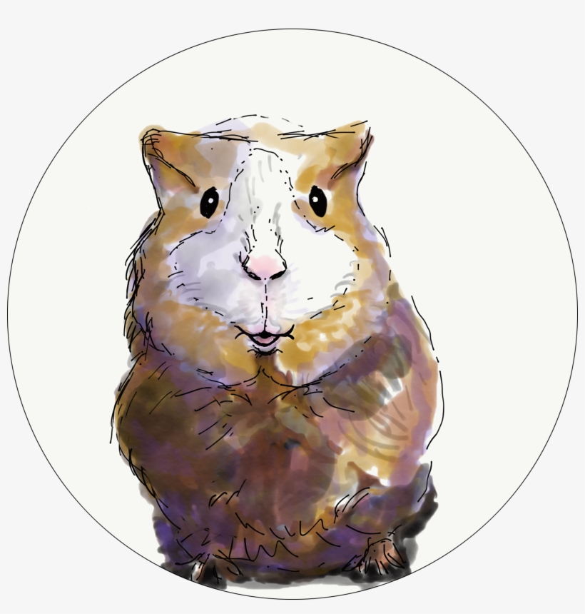 Hamster, transparent png #1953660